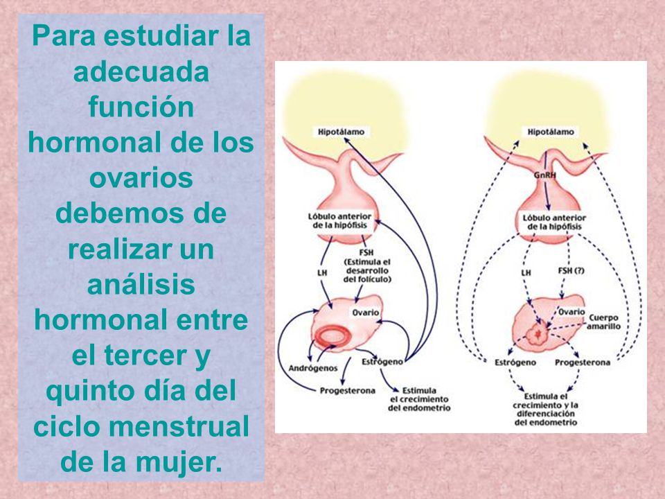 Para estudiar la adecuada función hormonal de los ovarios debemos de realizar un análisis hormonal entre el tercer y quinto día del ciclo menstrual de la mujer.