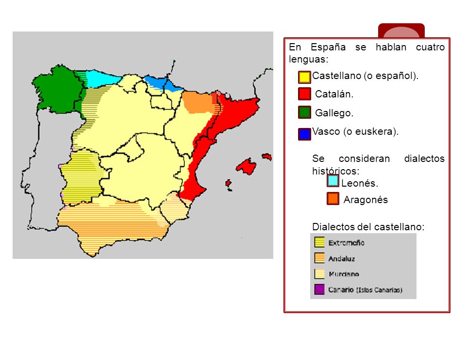 En España se hablan cuatro lenguas: