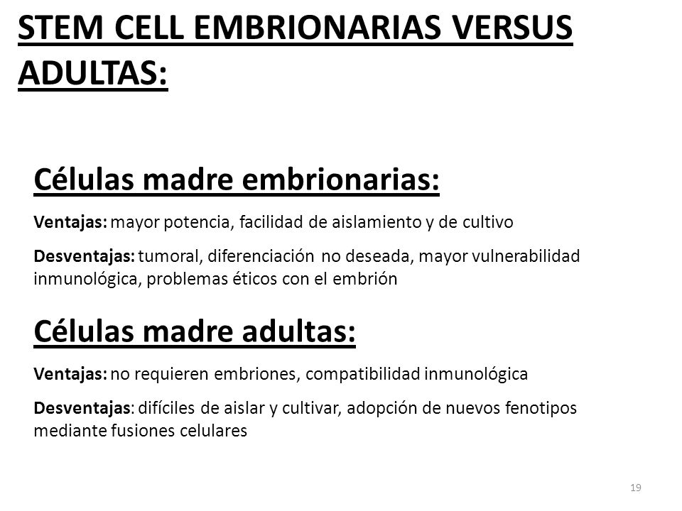 STEM CELL EMBRIONARIAS VERSUS ADULTAS:
