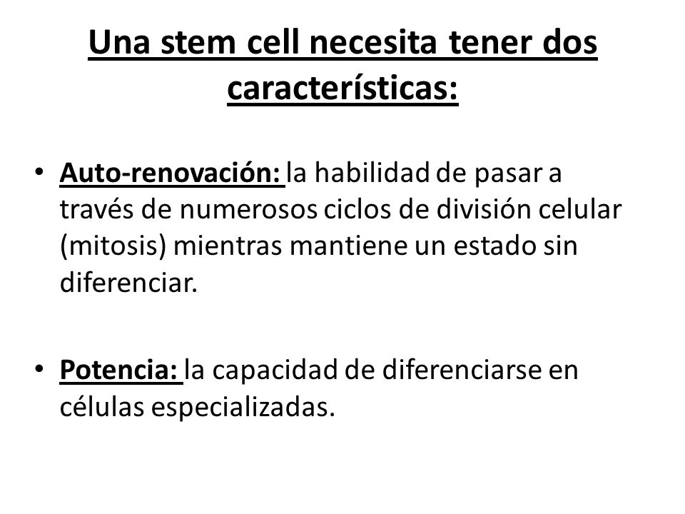 Una stem cell necesita tener dos características: