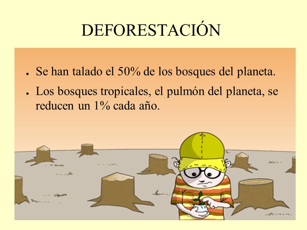 DEFORESTACIÓN Se han talado el 50% de los bosques del planeta.