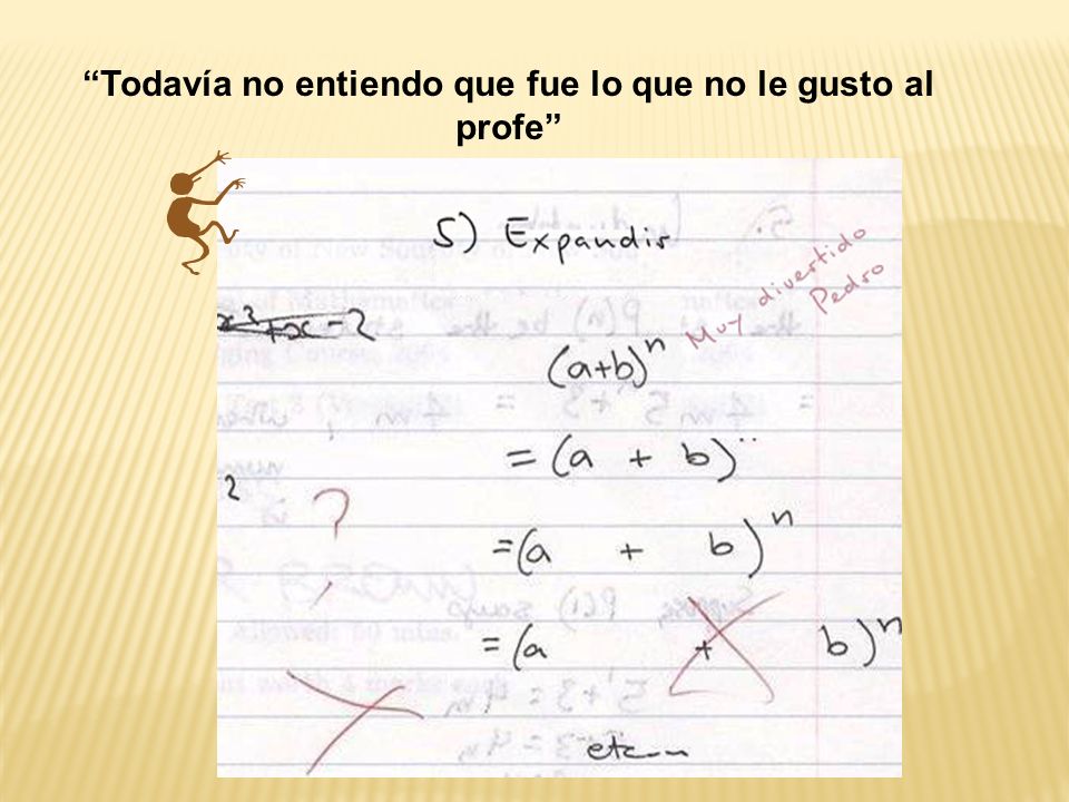 Todavía no entiendo que fue lo que no le gusto al profe