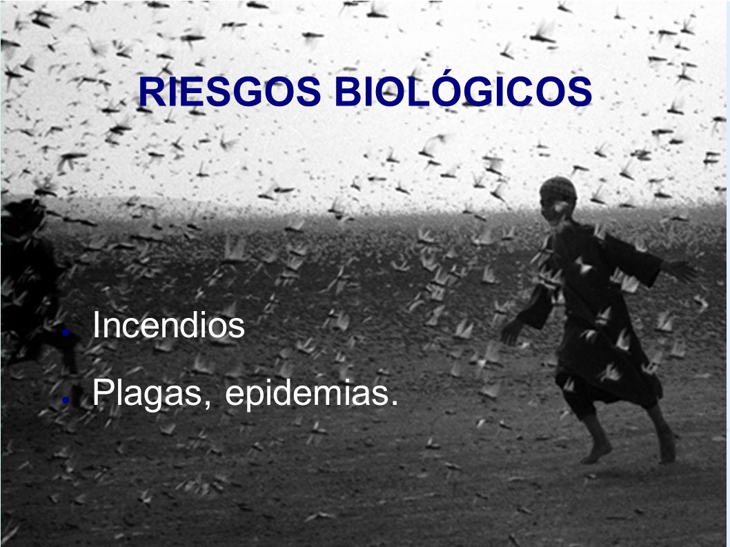 RIESGOS BIOLÓGICOS Incendios Plagas, epidemias.