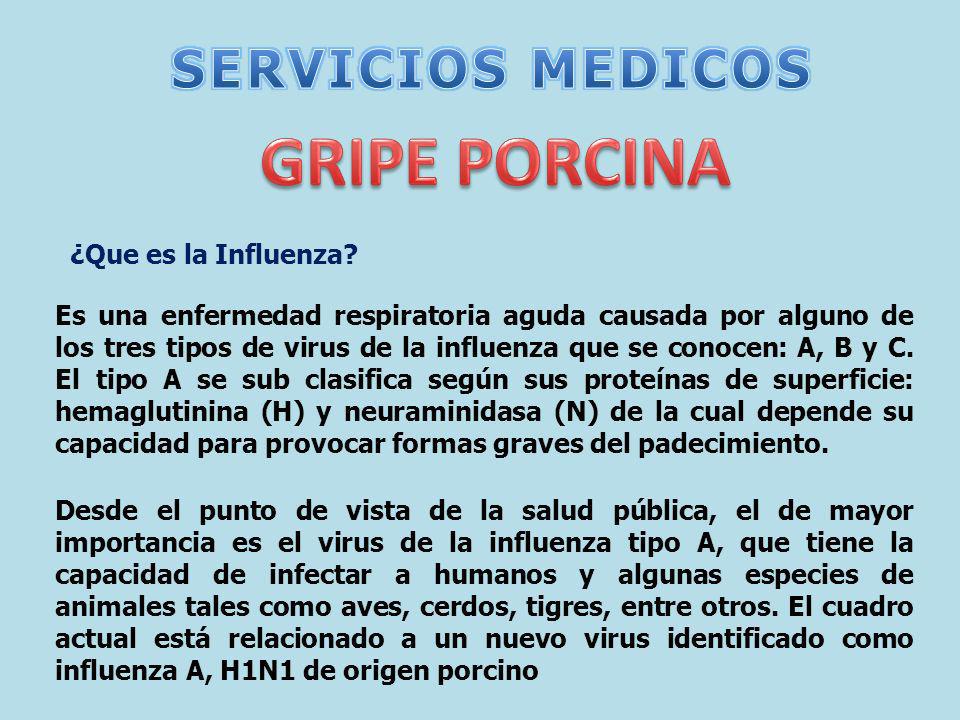GRIPE PORCINA SERVICIOS MEDICOS ¿Que es la Influenza