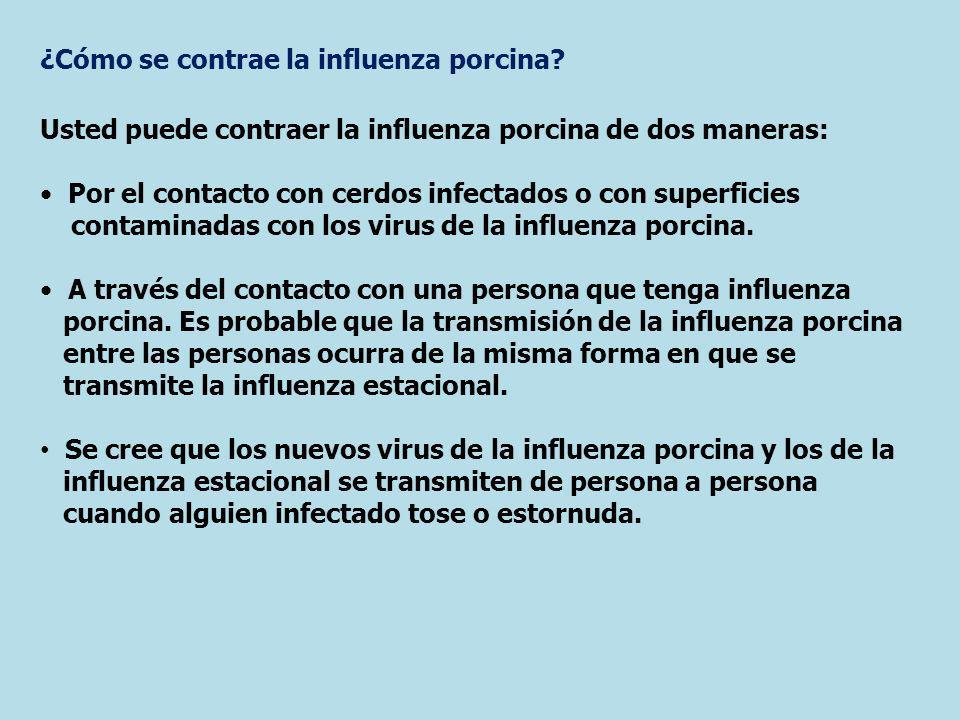 ¿Cómo se contrae la influenza porcina
