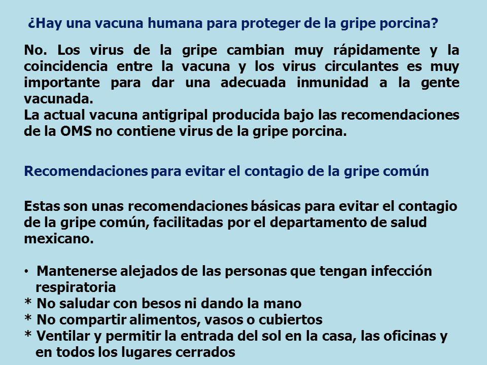 ¿Hay una vacuna humana para proteger de la gripe porcina