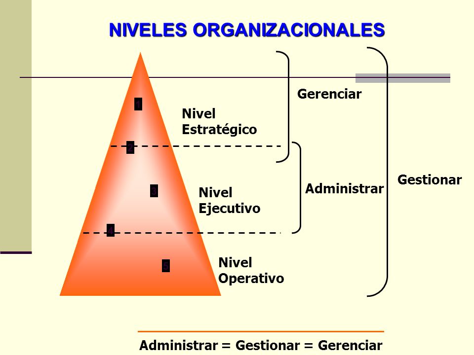 NIVELES ORGANIZACIONALES Administrar = Gestionar = Gerenciar