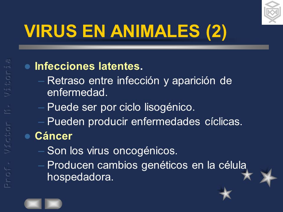 VIRUS EN ANIMALES (2) Infecciones latentes.