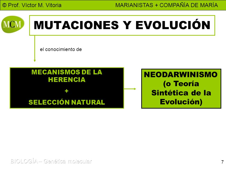 MUTACIONES Y EVOLUCIÓN