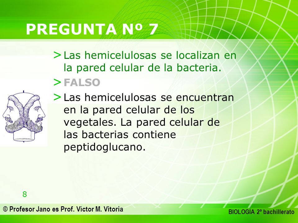 PREGUNTA Nº 7 Las hemicelulosas se localizan en la pared celular de la bacteria. FALSO.
