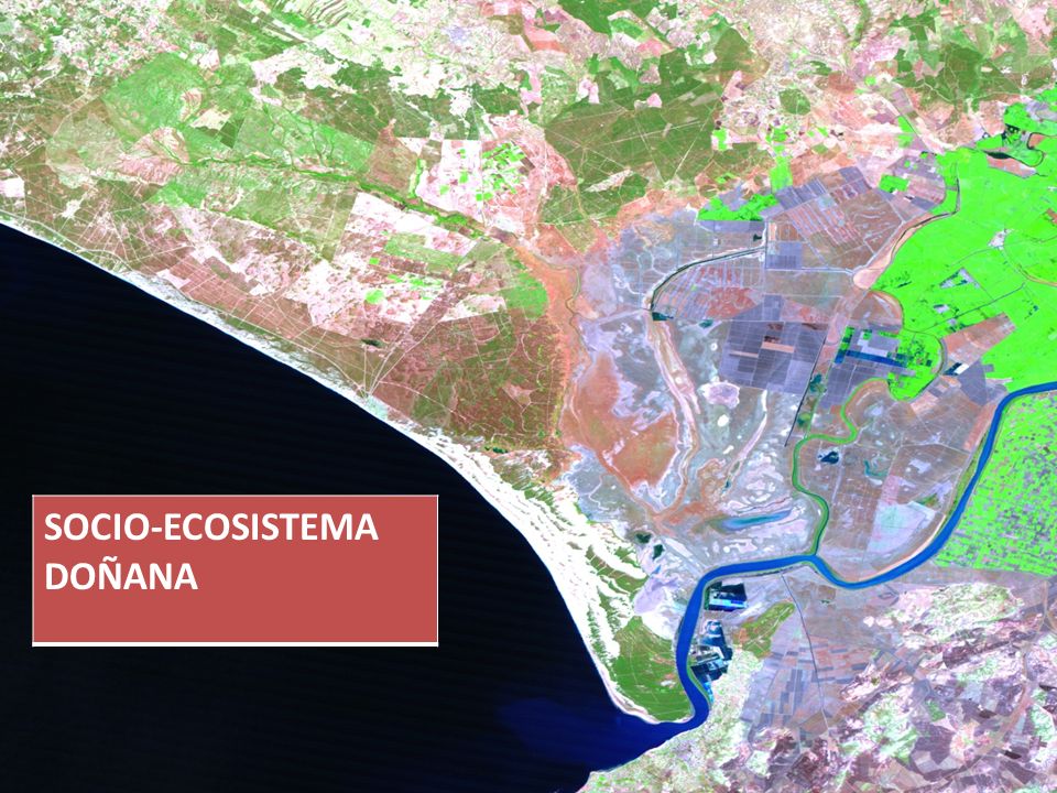 SOCIO-ECOSISTEMA DOÑANA