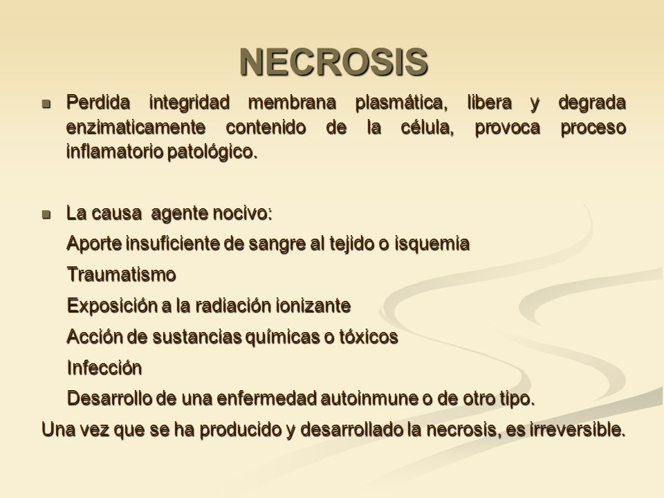 NECROSIS Perdida integridad membrana plasmática, libera y degrada enzimaticamente contenido de la célula, provoca proceso inflamatorio patológico.