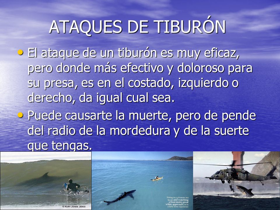 ATAQUES DE TIBURÓN