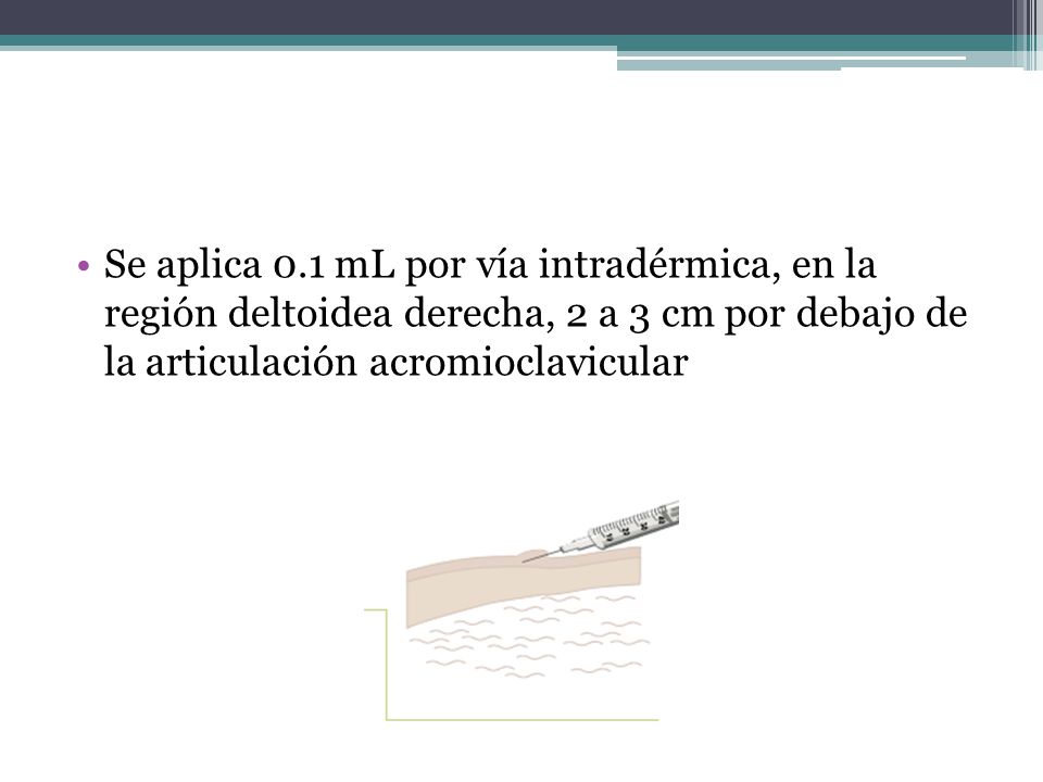 Se aplica 0.1 mL por vía intradérmica, en la región deltoidea derecha, 2 a 3 cm por debajo de la articulación acromioclavicular