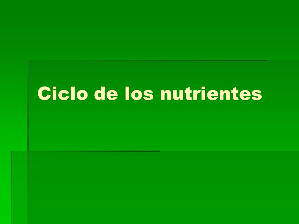 Ciclo de los nutrientes