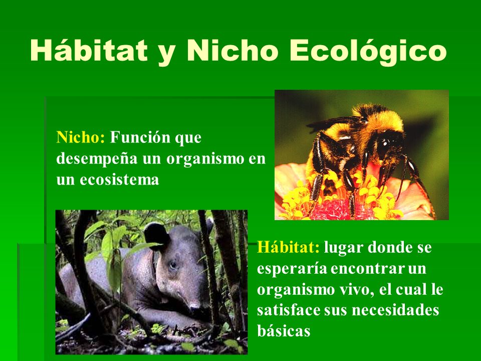 Hábitat y Nicho Ecológico