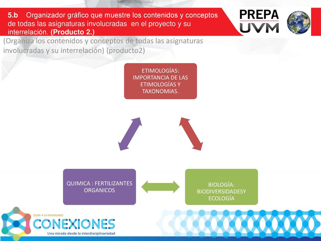 5.b Organizador gráfico que muestre los contenidos y conceptos de todas las asignaturas involucradas en el proyecto y su interrelación. (Producto 2.)