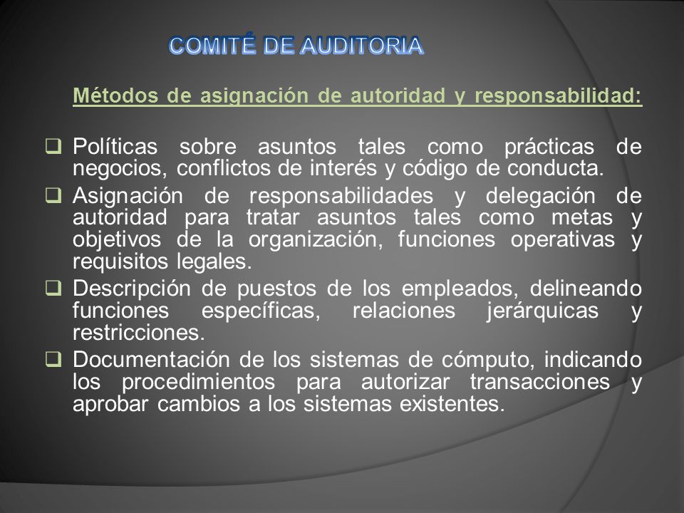 COMITÉ DE AUDITORIA Métodos de asignación de autoridad y responsabilidad: