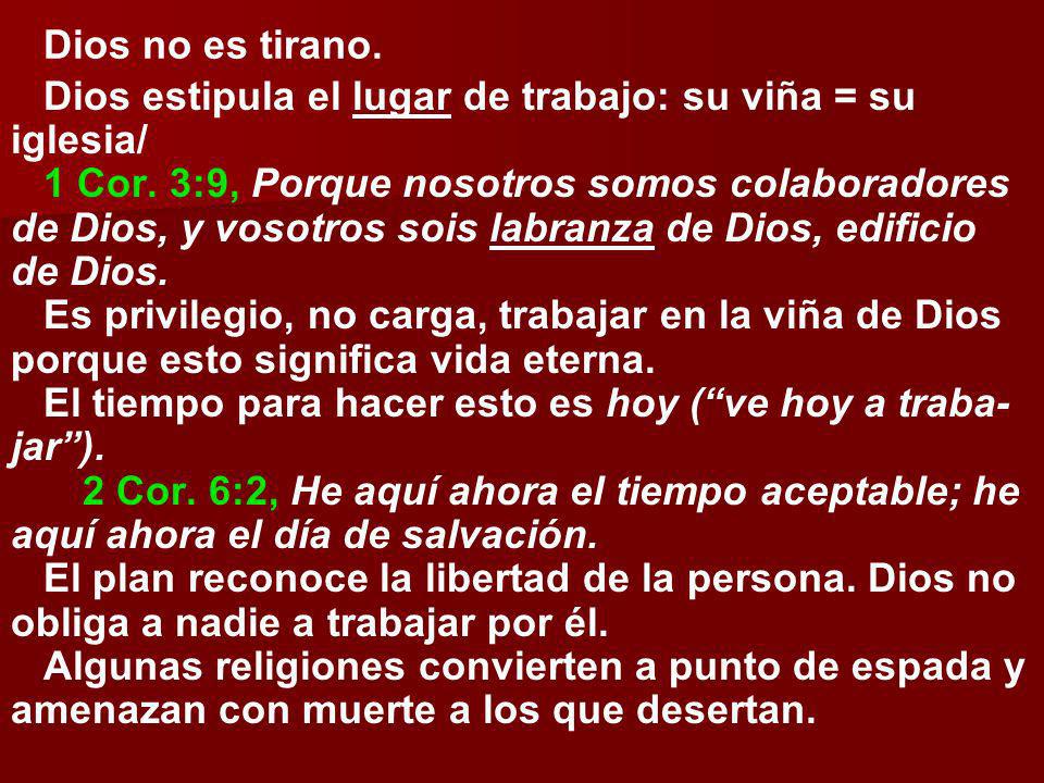 Dios no es tirano. Dios estipula el lugar de trabajo: su viña = su iglesia/