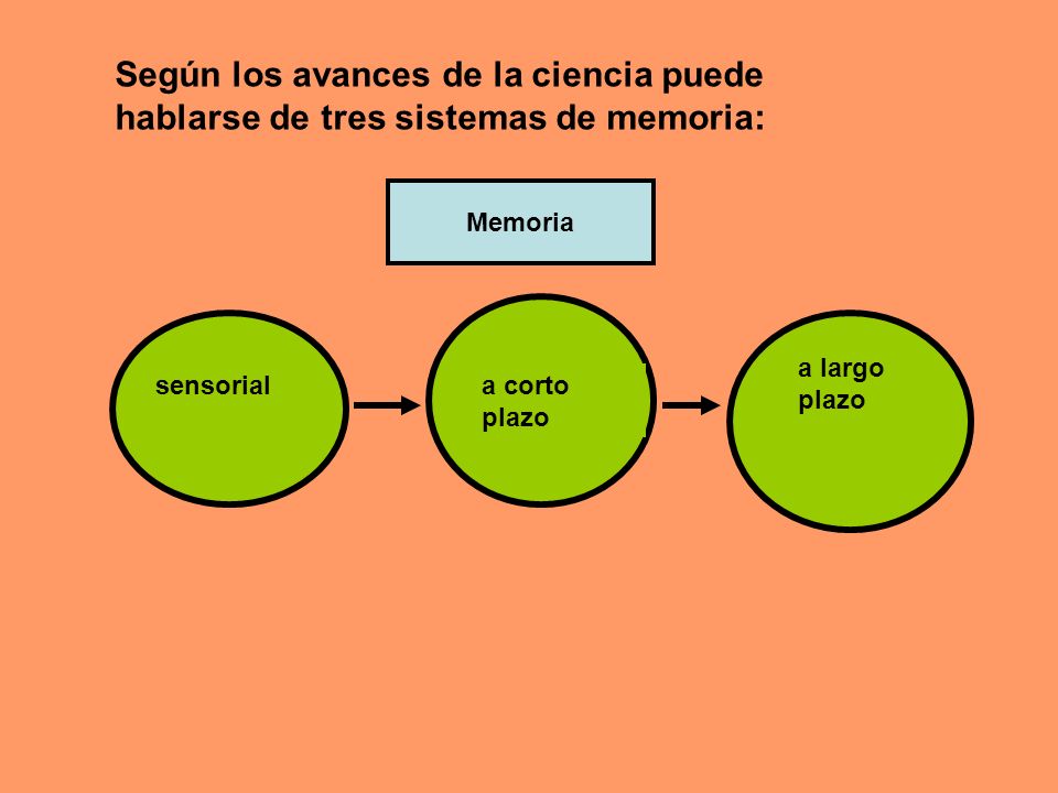 Según los avances de la ciencia puede hablarse de tres sistemas de memoria: