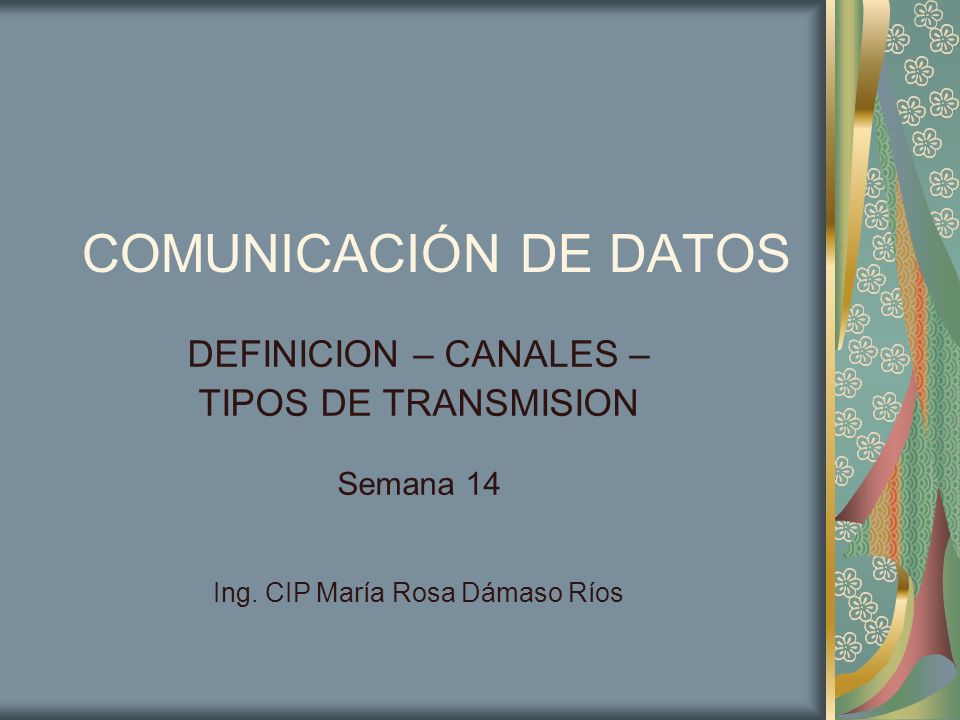 Ing. CIP María Rosa Dámaso Ríos