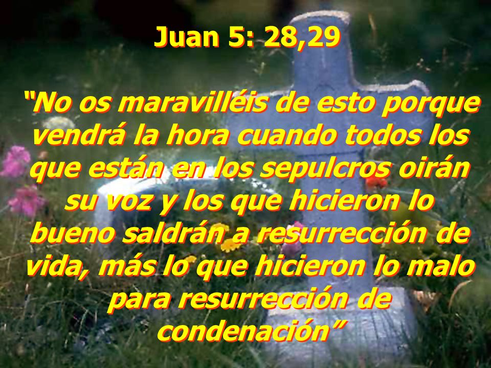 Juan 5: 28,29