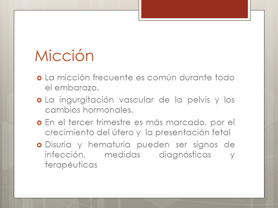 Micción La micción frecuente es común durante todo el embarazo.