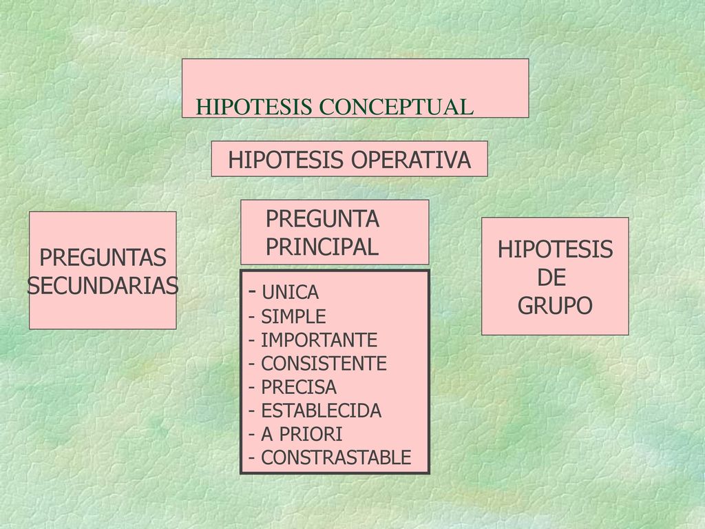 HIPOTESIS CONCEPTUAL HIPOTESIS OPERATIVA PREGUNTA PRINCIPAL PREGUNTAS