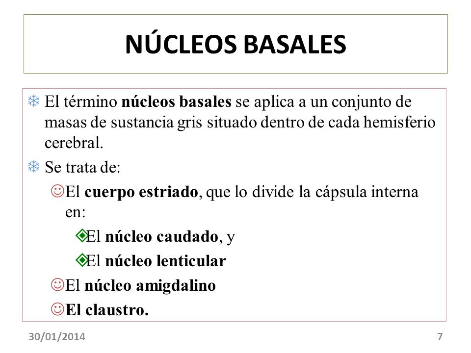 NÚCLEOS BASALES El término núcleos basales se aplica a un conjunto de masas de sustancia gris situado dentro de cada hemisferio cerebral.