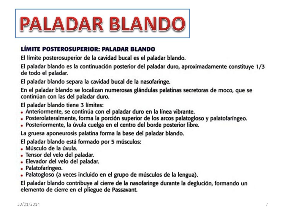 PALADAR BLANDO 24/03/2017