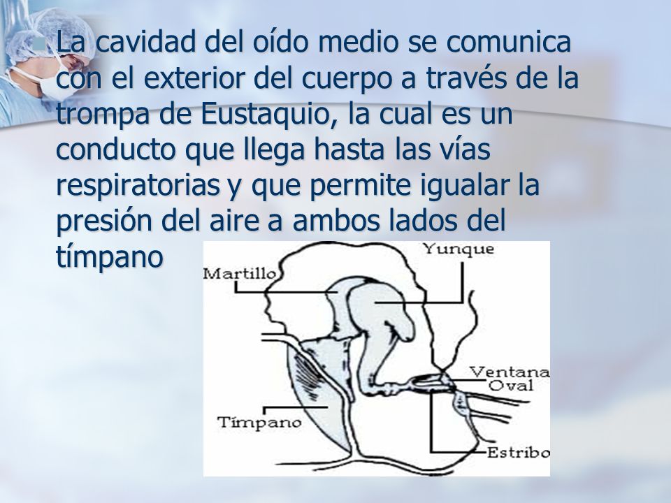 La cavidad del oído medio se comunica con el exterior del cuerpo a través de la trompa de Eustaquio, la cual es un conducto que llega hasta las vías respiratorias y que permite igualar la presión del aire a ambos lados del tímpano