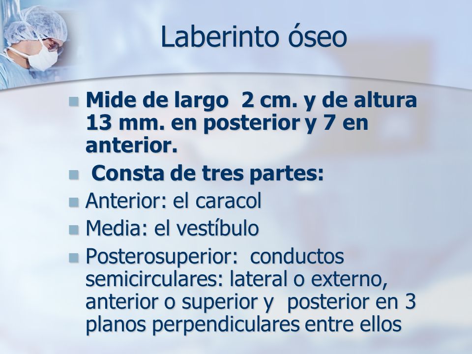 Laberinto óseo Mide de largo 2 cm. y de altura 13 mm. en posterior y 7 en anterior. Consta de tres partes: