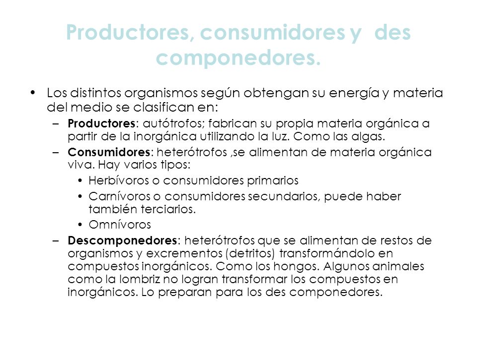 Productores, consumidores y des componedores.