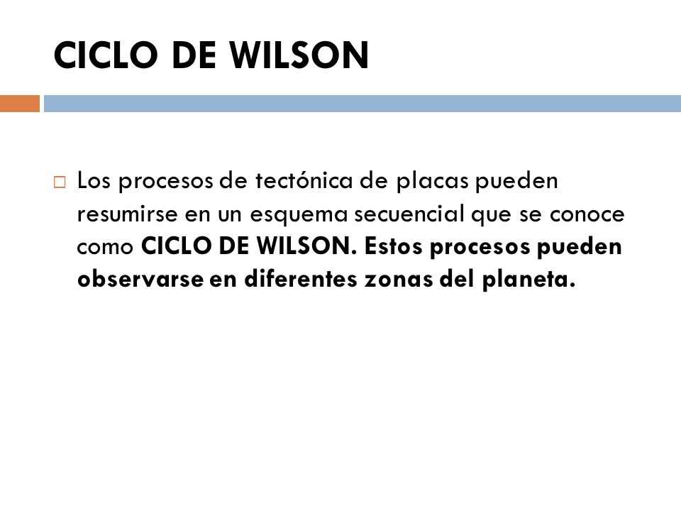 CICLO DE WILSON