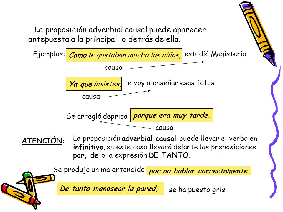 La proposición adverbial causal puede aparecer antepuesta a la principal o detrás de ella.