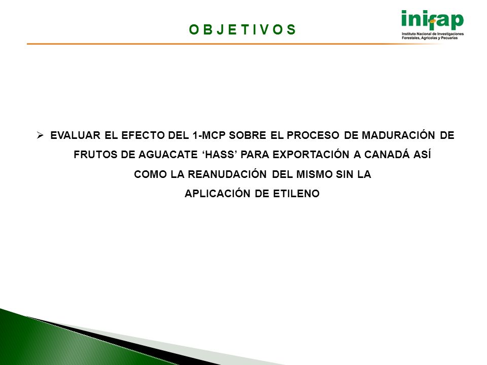 O B J E T I V O S EVALUAR EL EFECTO DEL 1-MCP SOBRE EL PROCESO DE MADURACIÓN DE. FRUTOS DE AGUACATE ‘HASS’ PARA EXPORTACIÓN A CANADÁ ASÍ.