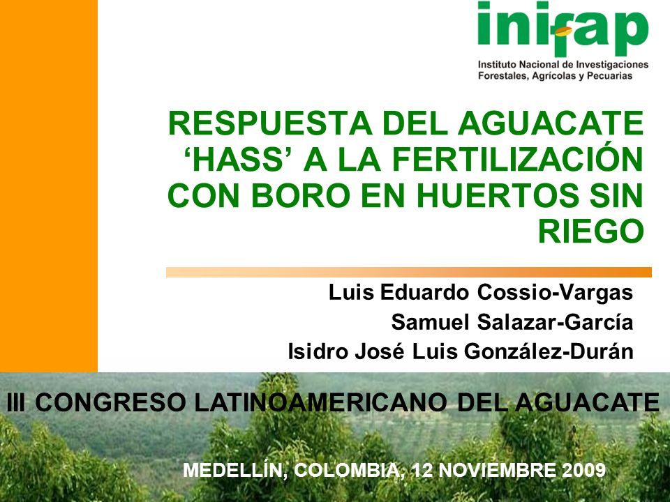 RESPUESTA DEL AGUACATE ‘HASS’ A LA FERTILIZACIÓN CON BORO EN HUERTOS SIN RIEGO
