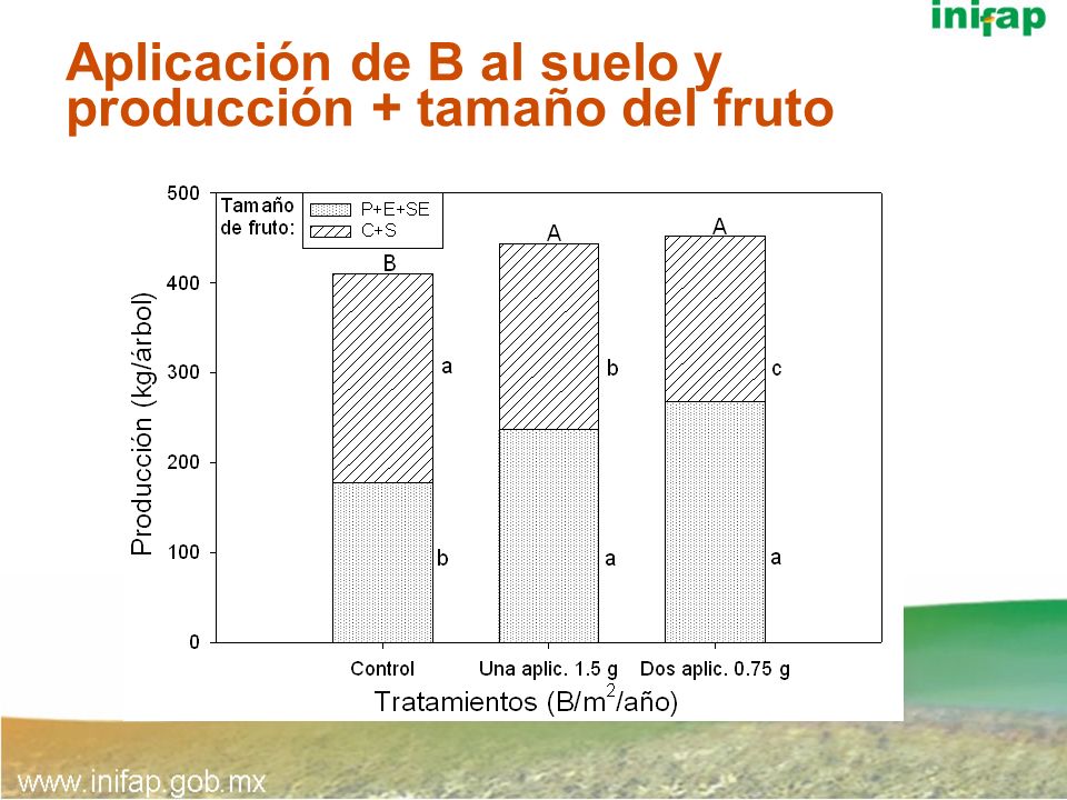 Aplicación de B al suelo y producción + tamaño del fruto