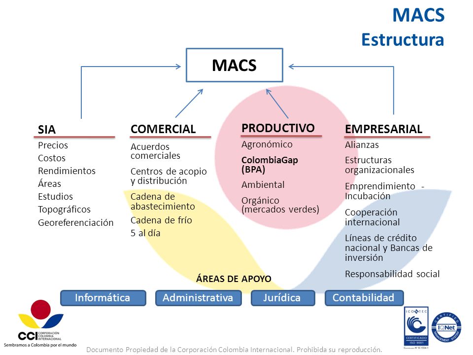 MACS Estructura MACS SIA COMERCIAL EMPRESARIAL PRODUCTIVO Informática