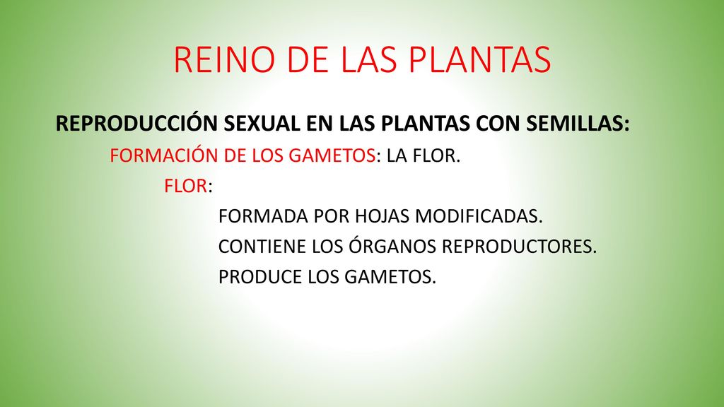 REINO DE LAS PLANTAS REPRODUCCIÓN SEXUAL EN LAS PLANTAS CON SEMILLAS: