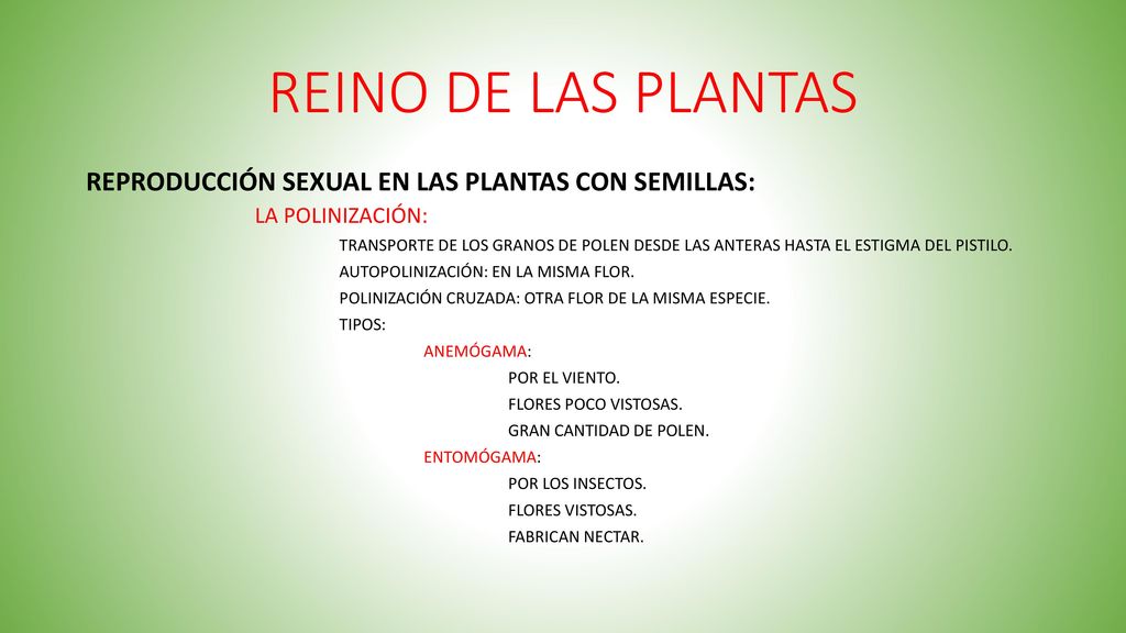 REINO DE LAS PLANTAS REPRODUCCIÓN SEXUAL EN LAS PLANTAS CON SEMILLAS: