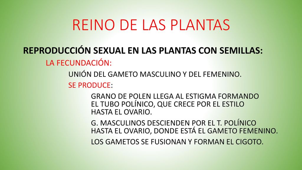 REINO DE LAS PLANTAS REPRODUCCIÓN SEXUAL EN LAS PLANTAS CON SEMILLAS: