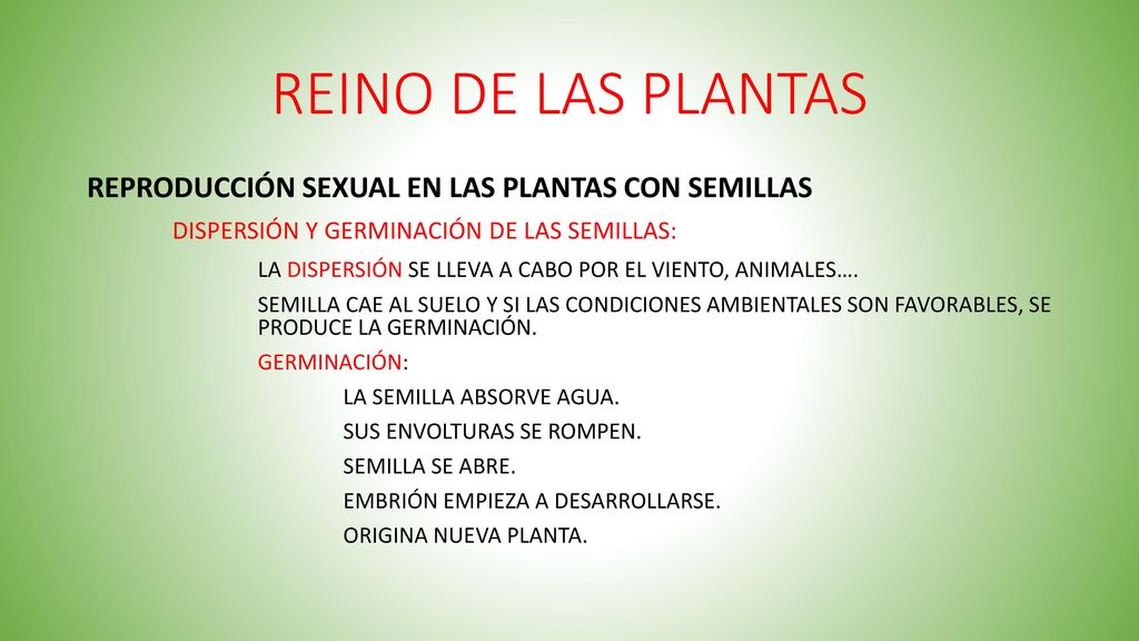 REINO DE LAS PLANTAS REPRODUCCIÓN SEXUAL EN LAS PLANTAS CON SEMILLAS