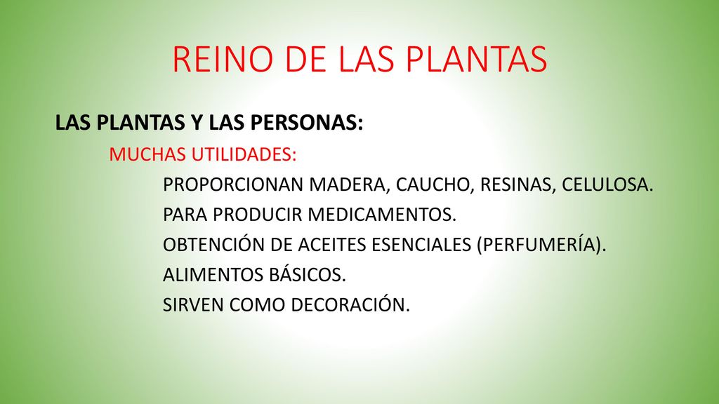 REINO DE LAS PLANTAS LAS PLANTAS Y LAS PERSONAS: MUCHAS UTILIDADES:
