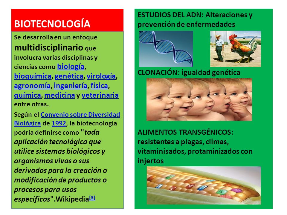 BIOTECNOLOGÍA ESTUDIOS DEL ADN: Alteraciones y prevención de enfermedades. CLONACIÓN: igualdad genética.