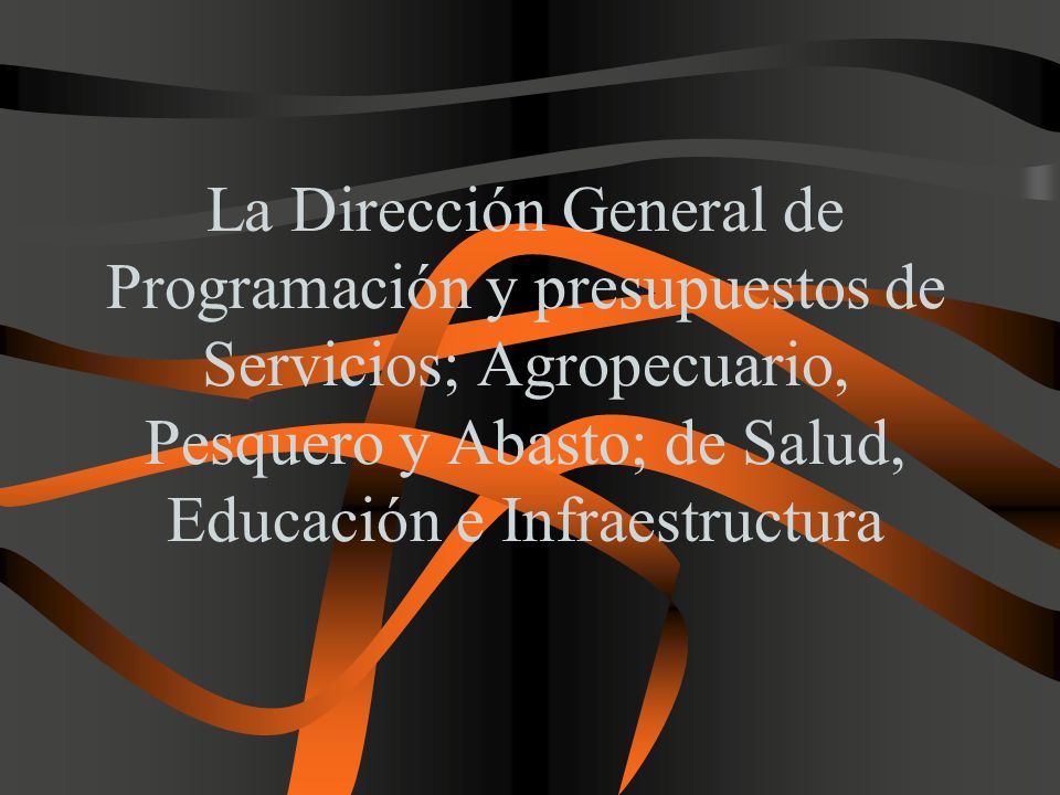 La Dirección General de Programación y presupuestos de Servicios; Agropecuario, Pesquero y Abasto; de Salud, Educación e Infraestructura