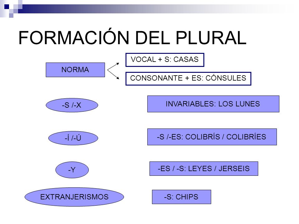 FORMACIÓN DEL PLURAL VOCAL + S: CASAS NORMA CONSONANTE + ES: CÓNSULES