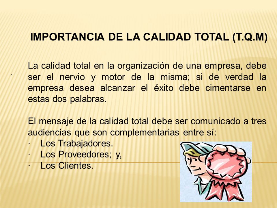 IMPORTANCIA DE LA CALIDAD TOTAL (T.Q.M)