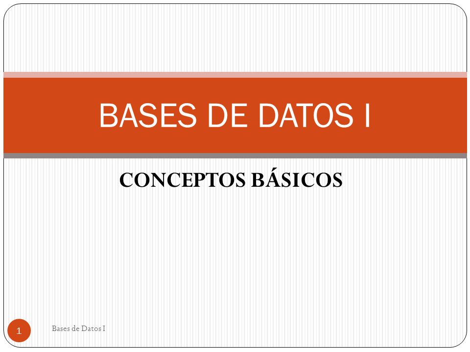 BASES DE DATOS I CONCEPTOS BÁSICOS Bases de Datos I