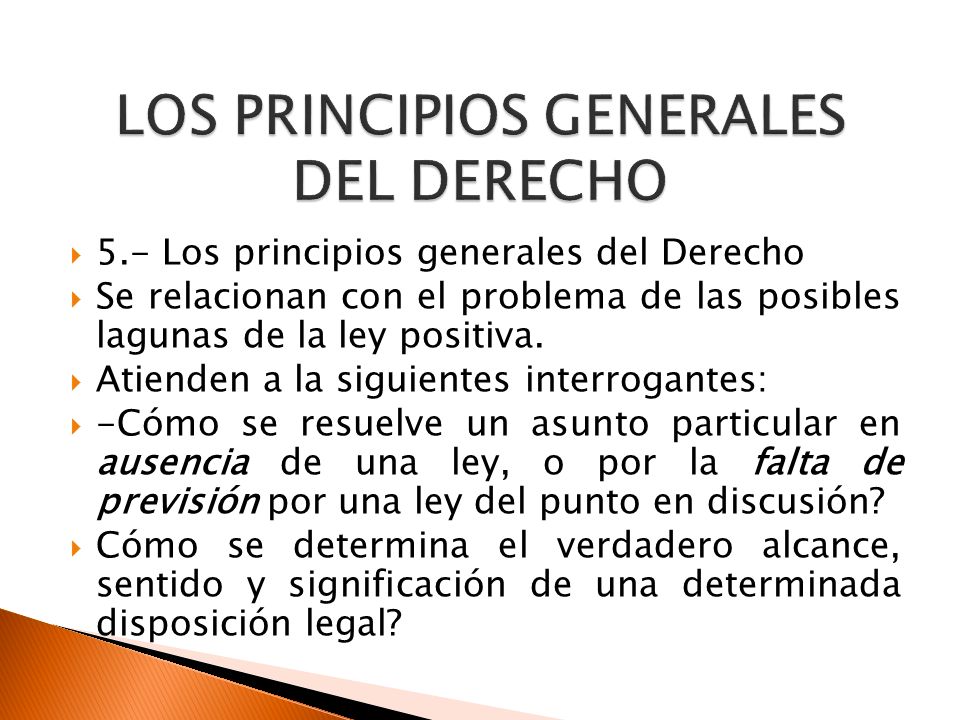 LOS PRINCIPIOS GENERALES DEL DERECHO